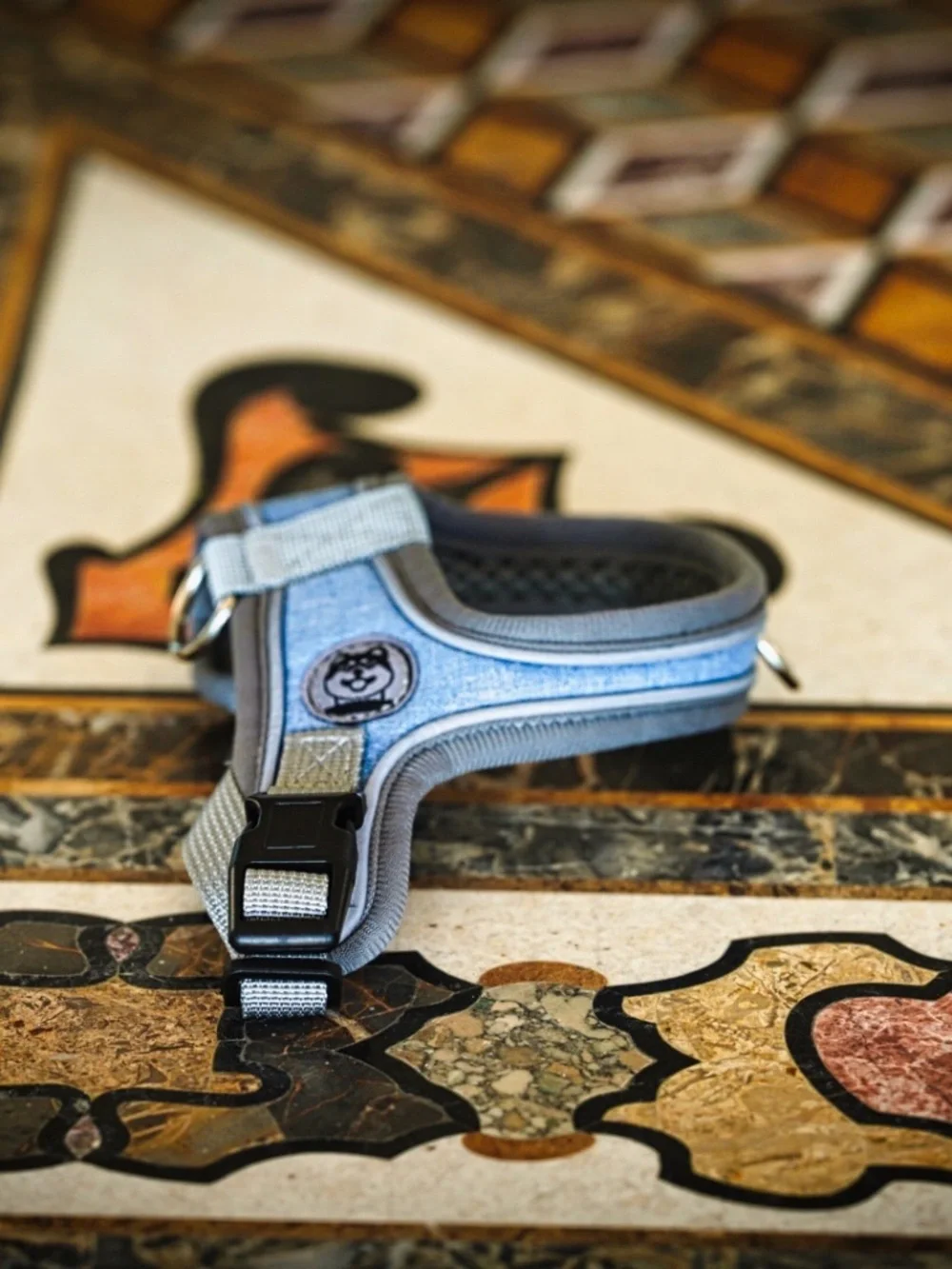 XS Dog Harness – Light Blue / Gray Mesh (with Dog Logo Patch)